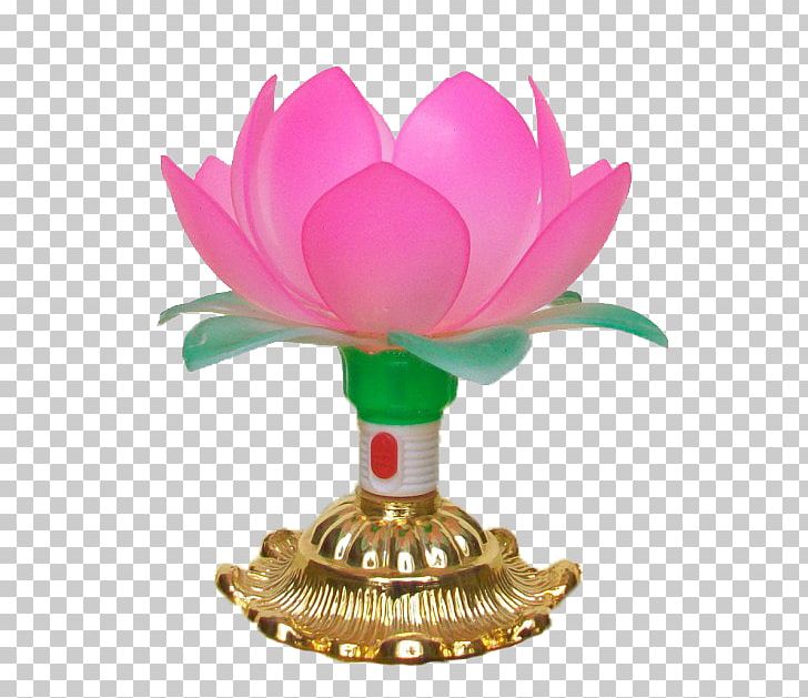 Lotus Temple Light Lamp PNG, Clipart, Blossom, Buddhist, Buddhist Culture, Culture, Download Free PNG Download