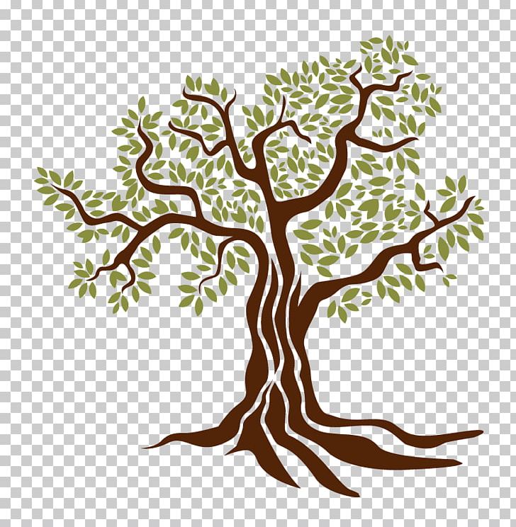 Olive Oil Drawing Tree PNG, Clipart, Artwork, Branch, Croquis, Drawing, Flora Free PNG Download