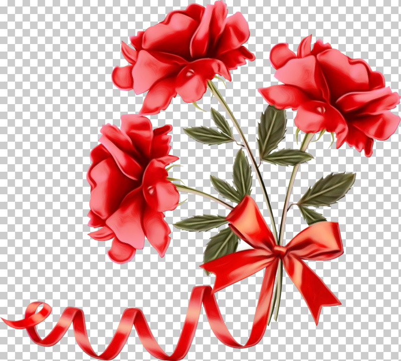 Red Flower Petal Plant Cut Flowers PNG, Clipart, Carmine, Carnation, Cut Flowers, Flower, Paint Free PNG Download