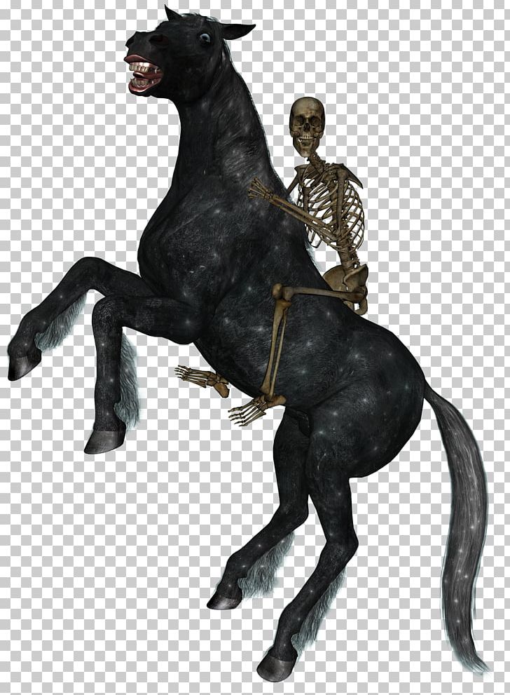 Horse&Rider Equestrian Skeleton PNG, Clipart, Animal, Animal Figure, Animals, Bit, Drawing Free PNG Download