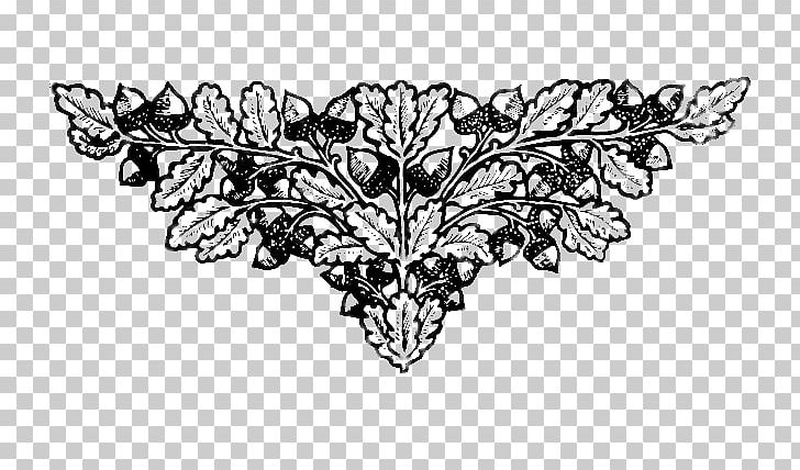 Line Art Insect Drawing Oak PNG, Clipart, Artwork, Black And White, Branch, Drawing, Flora Free PNG Download