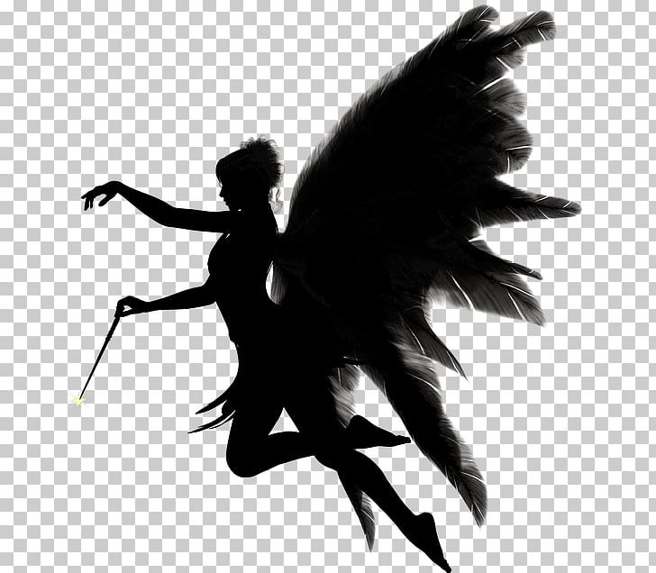 Angel Silhouette PNG, Clipart, Angel, Bird, Download, Fantasy, Feather Free PNG Download
