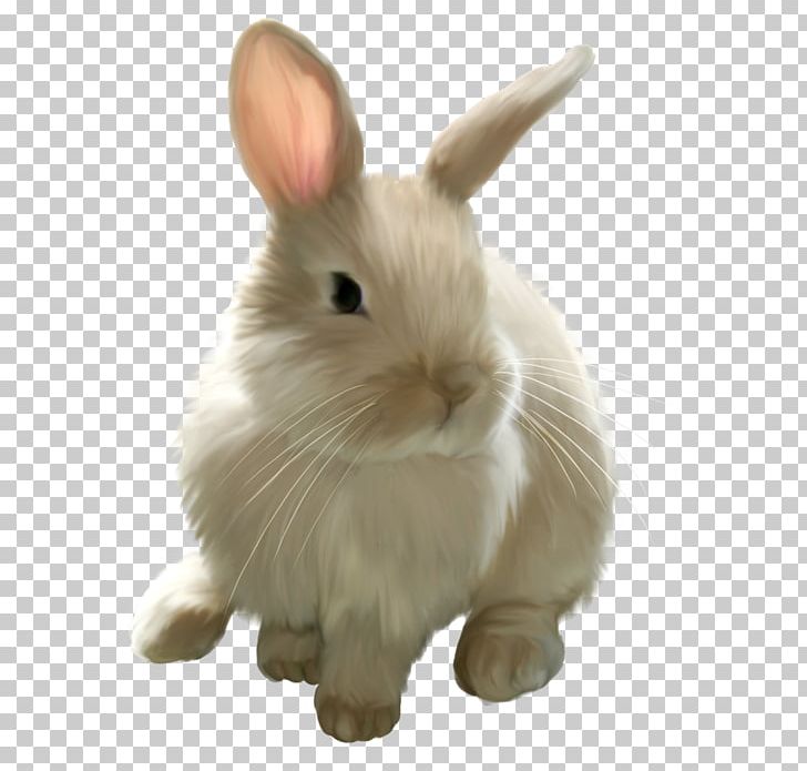 Easter Bunny Hare PNG, Clipart, Animals, Computer Icons, Document, Domestic Rabbit, Easter Free PNG Download