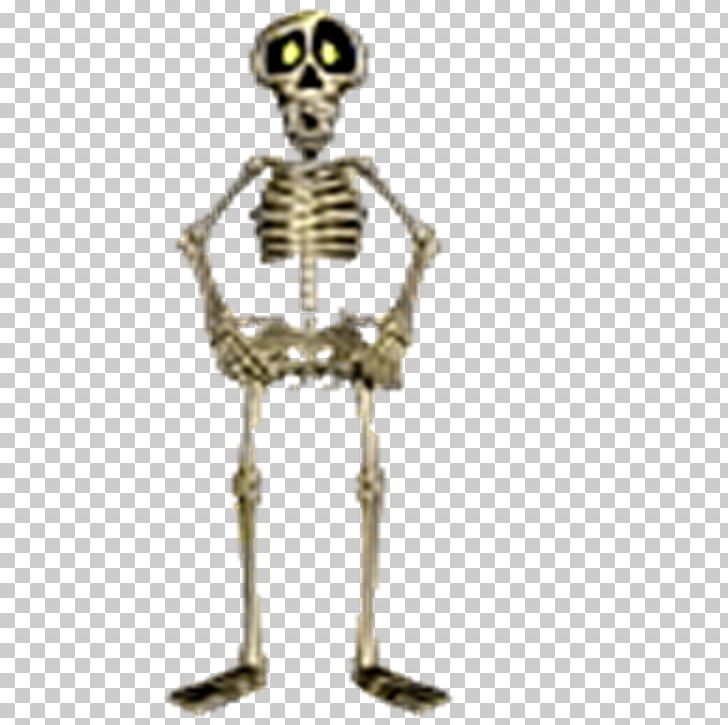Human Skeleton Animaatio Bone PNG, Clipart, Anatomy, Animaatio, Bone, Drawing, Fantasy Free PNG Download