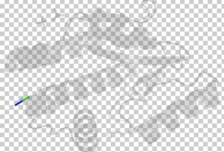 Line PNG, Clipart, Angle, Art, Line, Poly Adpribose Polymerase, Text Free PNG Download