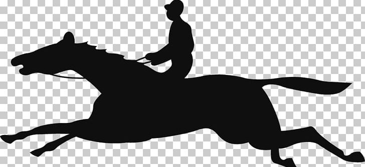 Mustang English Riding Stallion Rein PNG, Clipart, Black, Black And White, Black M, English Riding, Equestrian Free PNG Download