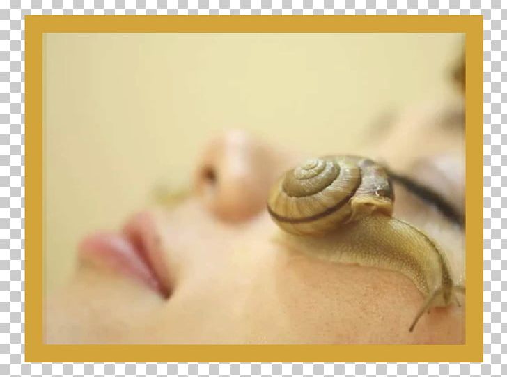 Snail Slime Skin Care Cosmetics PNG, Clipart, Beauty, Body Jewelry, Clay, Closeup, Cosmetics Free PNG Download