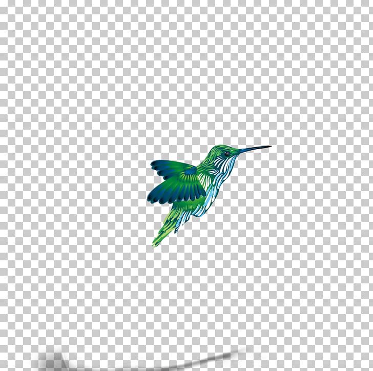 Sparrow Bird PNG, Clipart, Adobe Illustrator, Animals, Beak, Bird Cage, Bird Nest Free PNG Download