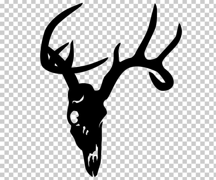 White-tailed Deer Elk Skull PNG, Clipart, Animals, Antler, Autocad Dxf, Black And White, Clip Art Free PNG Download