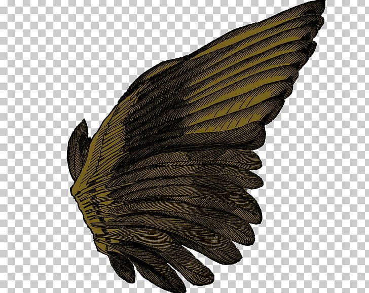 Wing PNG, Clipart, Angel Wing, Animals, Clip Art, Feather, Leaf Free PNG Download