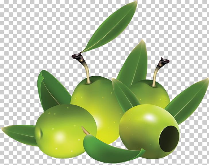 Olive Oil PNG, Clipart, Ace Crim, Computer Icons, Food, Fruit, Oil Free PNG Download