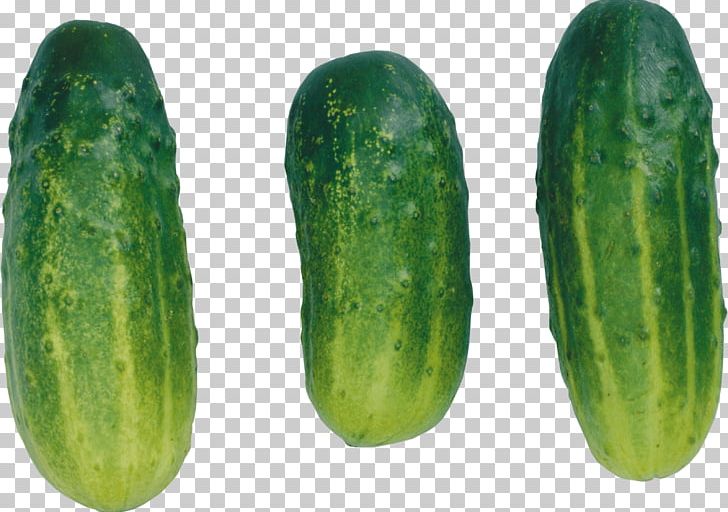 Pickled Cucumber PNG, Clipart, Abgoals, Cucumber, Cucumber Gourd And Melon Family, Cucumis, Eat Free PNG Download
