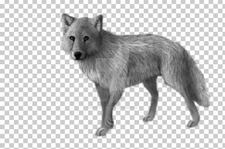 Red Fox Coyote Alaskan Tundra Wolf Jackal Fur PNG, Clipart, Alaskan Tundra Wolf, Animal, Black And White, Canis, Canis Lupus Tundrarum Free PNG Download