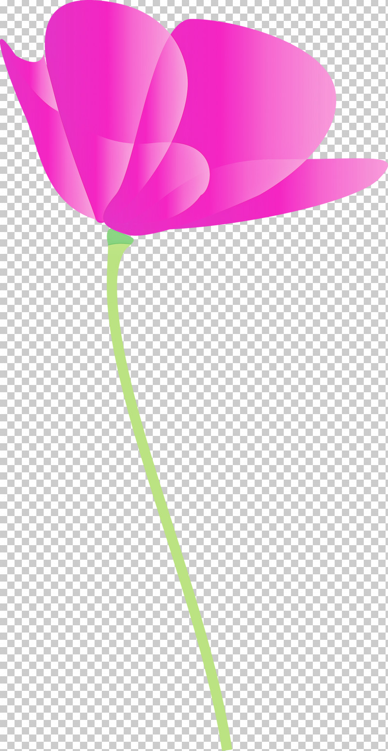 Poppy Flower PNG, Clipart, Anthurium, Balloon, Cut Flowers, Flower, Lily Family Free PNG Download