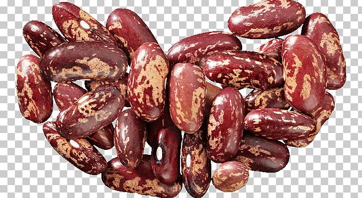 Common Bean Runner Bean Sujuk Adobo PNG, Clipart, Adobo, Annual Plant, Bean, Beans, Chorizo Free PNG Download