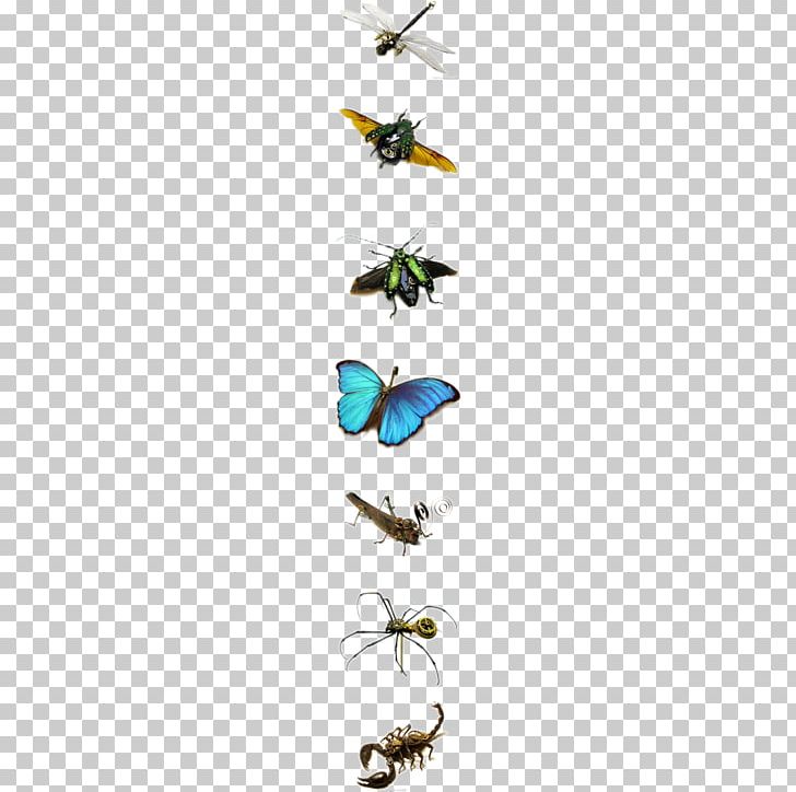 Insect PNG, Clipart, Animals, Butterfly, Creative, Encapsulated Postscript, Industrial Free PNG Download