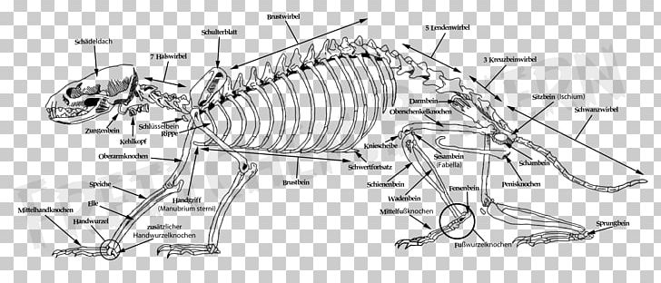 Line Art Car Drawing Engineering PNG, Clipart, Angle, Artwork, Auto Part, Black And White, Car Free PNG Download