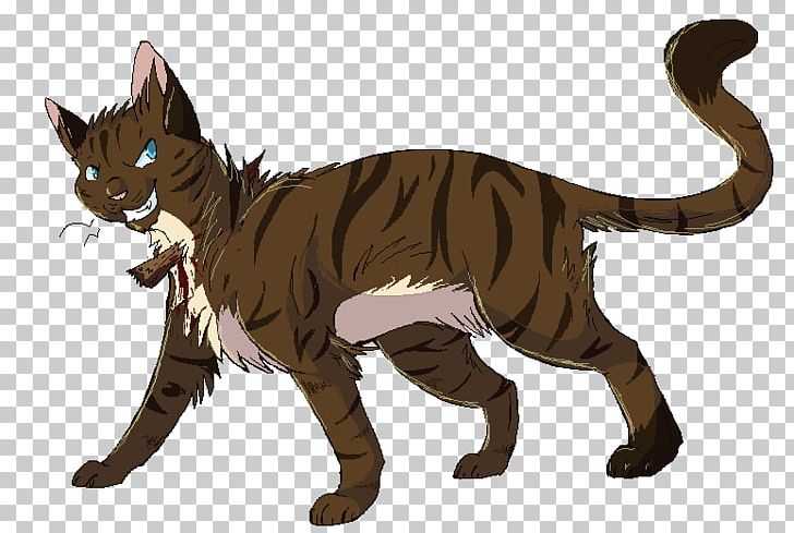 Toyger Sokoke Whiskers Kitten Warriors PNG, Clipart, Animals, Blossomfall, Carnivoran, Cat Like Mammal, Claw Free PNG Download