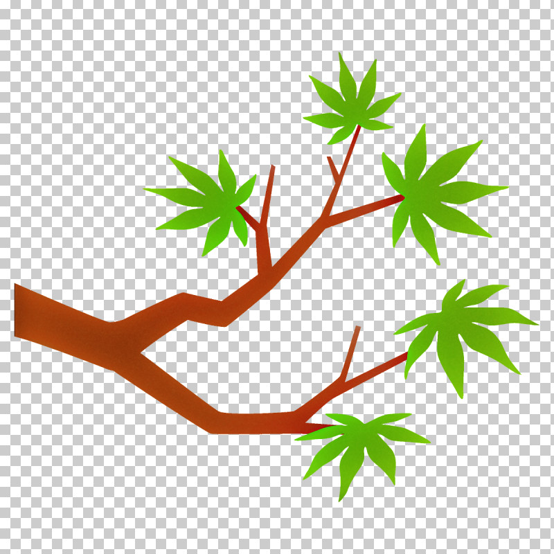 Maple Branch Maple Leaves Maple Tree PNG, Clipart, Flower, Hemp Family, Herbal, Leaf, Maple Branch Free PNG Download