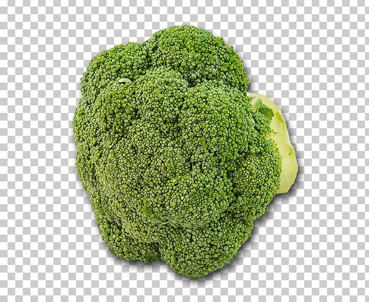 Broccoli PNG, Clipart, Australia, Broccoflower, Broccoli, Carbonara, Cauliflower Free PNG Download