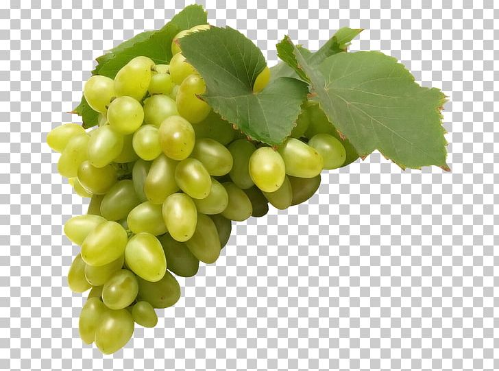 Common Grape Vine Juice Fruit Must PNG, Clipart, Aroma, Bilberry, Food, Fruit, Fruit Nut Free PNG Download