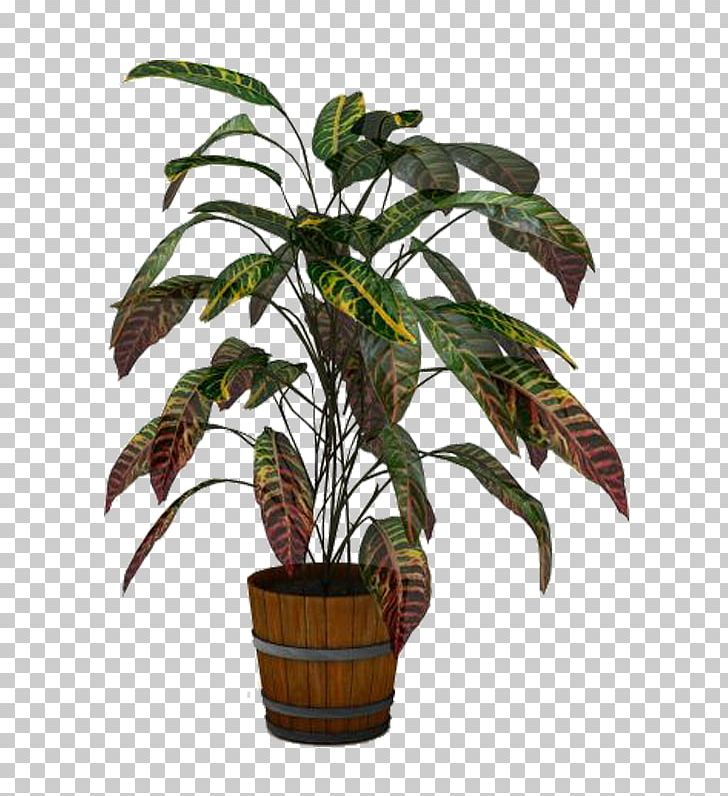 Arecaceae Flowerpot Houseplant Leaf Plant Stem PNG, Clipart, Arecaceae, Arecales, Flowerpot, Houseplant, Leaf Free PNG Download