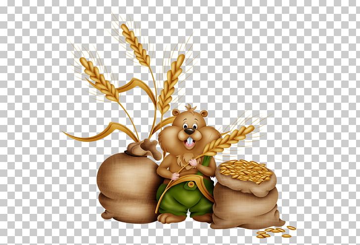 Food Animal Commodity Grasses Family PNG, Clipart, Animal, Commodity, Family, Food, Grasses Free PNG Download