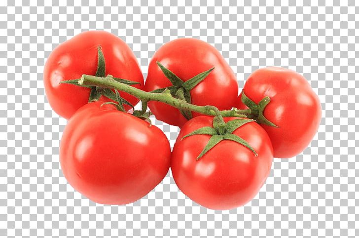 Plum Tomato Bush Tomato PNG, Clipart, Acerola, Acerola Family, Auglis, Barbados Cherry, Bush Tomato Free PNG Download