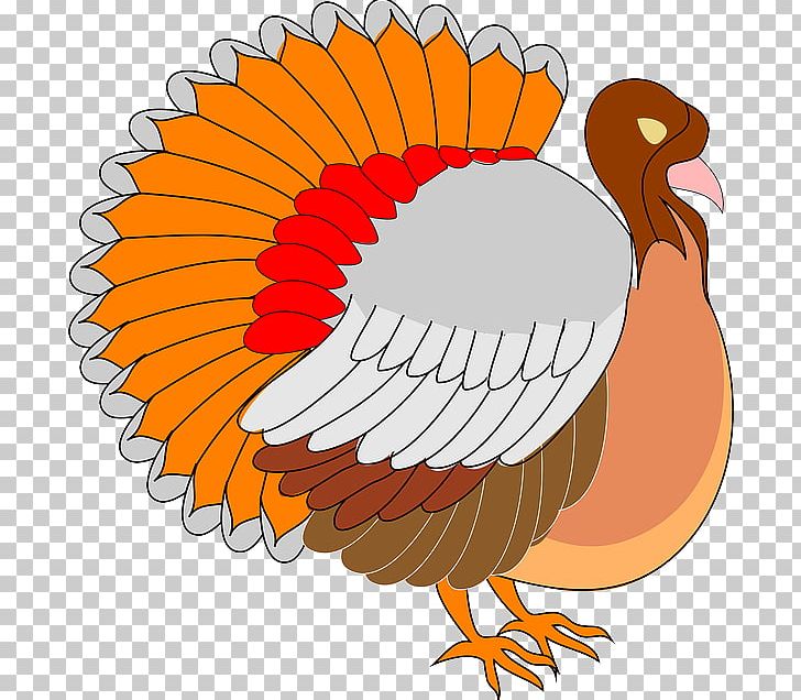 Apache OpenOffice Microsoft Office PNG, Clipart, Apache Openoffice, Artwork, Beak, Bird, Chicken Free PNG Download