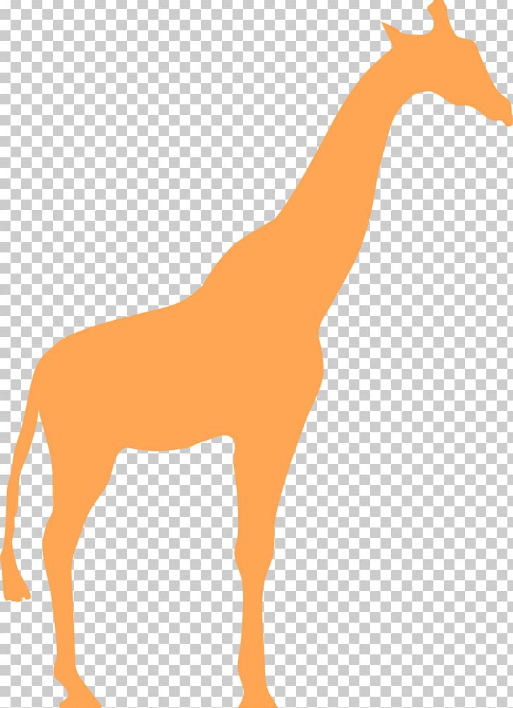 Northern Giraffe Silhouette PNG, Clipart, Animal Figure, Animals, Download, Fauna, Giraffe Free PNG Download