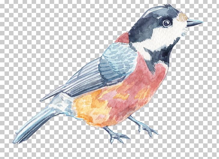Finches Blog Application Portfolio Management Watercolor Painting PNG, Clipart, Application Portfolio Management, Beak, Bird, Blog, Cherry Free PNG Download