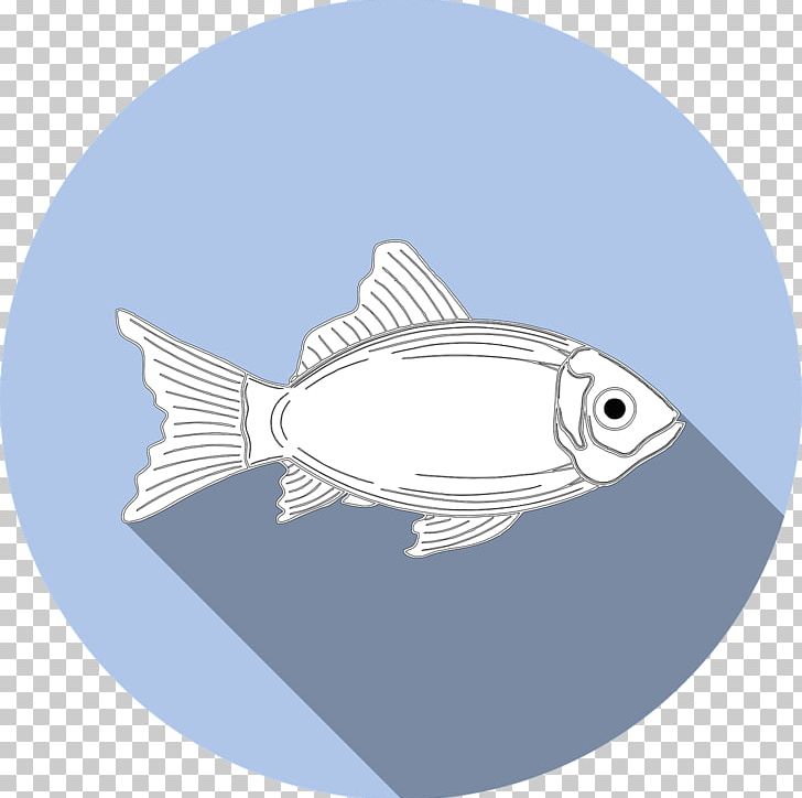 Fishing Allergy Fried Fish Seafood PNG, Clipart, Allergy, Download, Fin, Fish, Fishing Free PNG Download