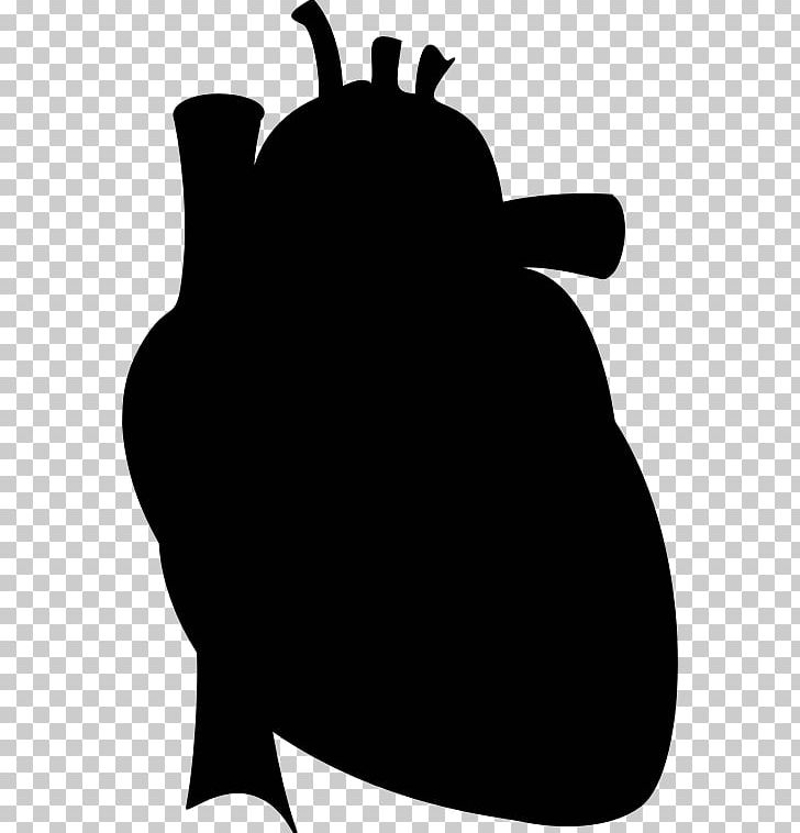 Heart Silhouette Drawing Anatomy PNG, Clipart, Anatomy, Aorta, Artwork, Black, Black And White Free PNG Download