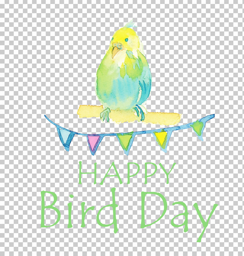 Feather PNG, Clipart, Beak, Bird Day, Bud, Drawing, Feather Free PNG Download