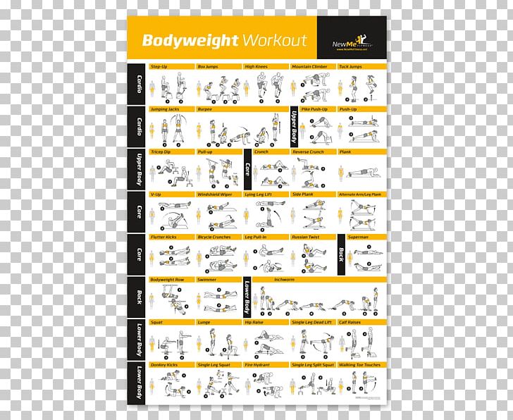 Bodyweight Exercise Weight Training Exercise Balls Personal Trainer PNG, Clipart, Abdominal Exercise, Area, Bodyweight Exercise, Core, Dumbbell Free PNG Download