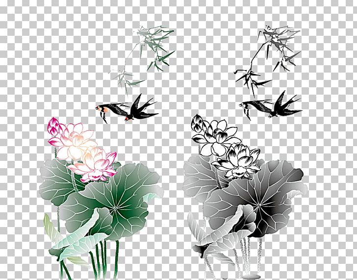 Lotus Nelumbo Nucifera Cdr PNG, Clipart, Artificial Flower, Autumn Leaf, Dow, Drawing, Floral Design Free PNG Download