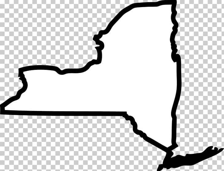 New York City Chenango Empire State NORML PNG, Clipart, Area, Auto Part, Barbara S Lifton, Bill, Black Free PNG Download
