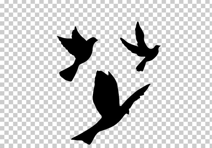 Bird Flight Stencil Silhouette Drawing PNG, Clipart, Animals, Art, Beak, Bird, Bird Flight Free PNG Download