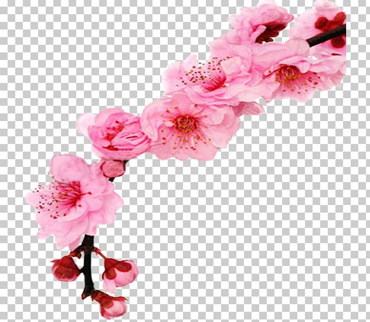 Cherry Blossom Floral Design Flower PNG, Clipart, Artificial Flower, Azalea, Blossom, Branch, Cherry Free PNG Download