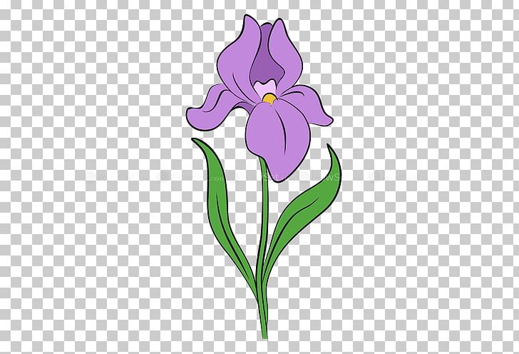 Drawing Iris Flower Data Set Iris Flower Data Set PNG, Clipart, Clip Art, Common Sunflower, Cut Flowers, Drawing, Flora Free PNG Download