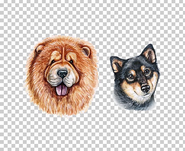 Eurasier Finnish Spitz Pomeranian Dog Pit Bull Chow Chow PNG, Clipart, Animal, Animals, Animation, Anime Character, Anime Girl Free PNG Download