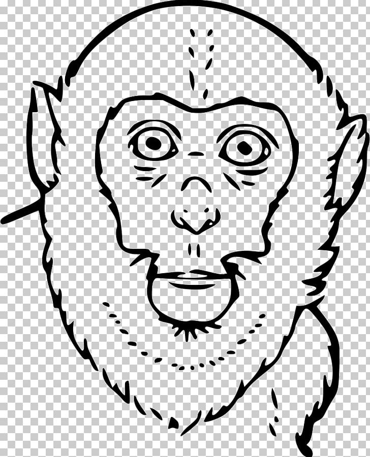 Homo Sapiens Eye Smile Forehead Human Behavior PNG, Clipart, Animal, Art, Behavior, Black, Drawing Free PNG Download