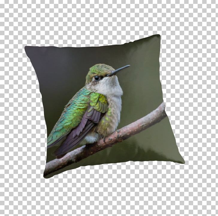 Hummingbird Throw Pillows Cushion PNG, Clipart, Animals, Beak, Bird, Cushion, Download Free PNG Download