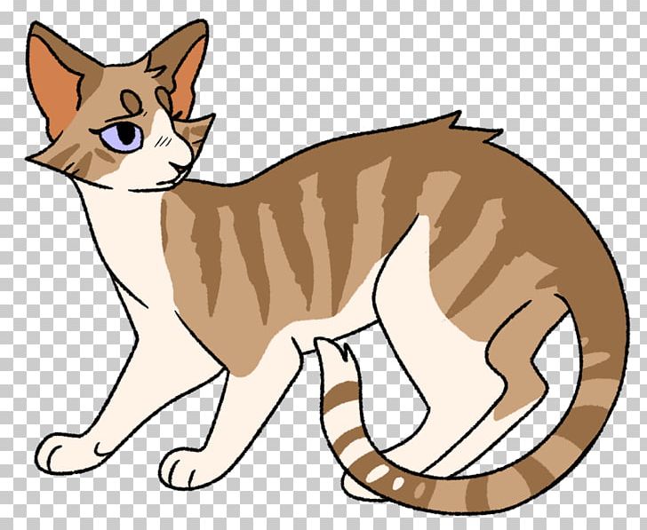 Kitten Whiskers Domestic Short-haired Cat Cats Of The Clans PNG, Clipart, Animals, Breezepelt, Carnivoran, Cat, Cat Like Mammal Free PNG Download