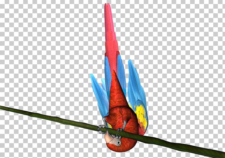 Macaw PNG, Clipart, Bird, Macaw, Others, Perroquet, Vertebrate Free PNG Download