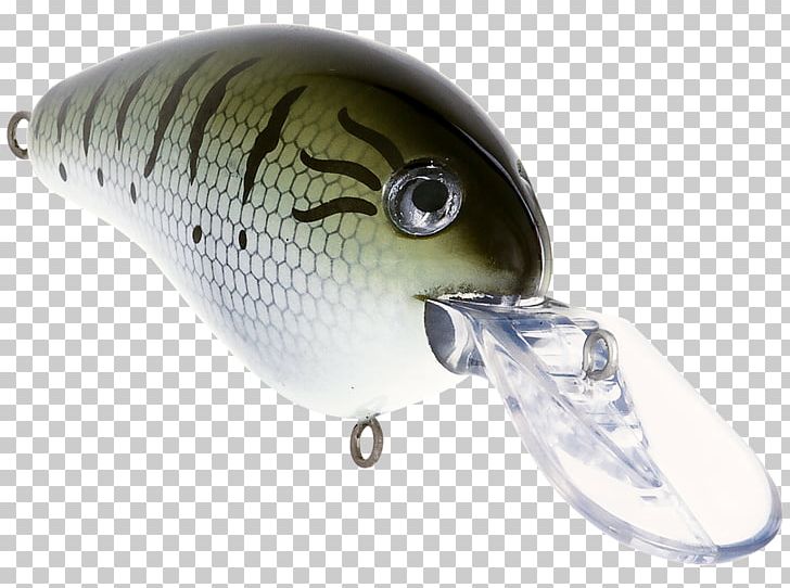 Spoon Lure Plug Divemaster Fishing Baits & Lures Underwater Diving PNG, Clipart, Bait, Brown Trout, Carpfood24 Angelcenter, Color, Crackles Free PNG Download