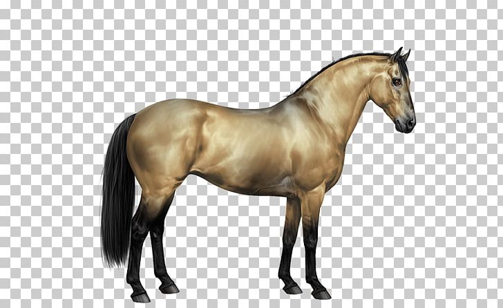 Appaloosa Howrse Knabstrupper Arabian Horse Mustang PNG, Clipart, American Quarter Horse, Animal Figure, Appaloosa, Horse, Horse Harness Free PNG Download