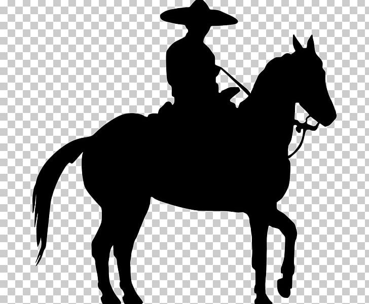 Mexico Charro Horse Charreada Virgencita De Talpa PNG, Clipart, Animals, Art, Black And White, Colt, Cowboy Free PNG Download