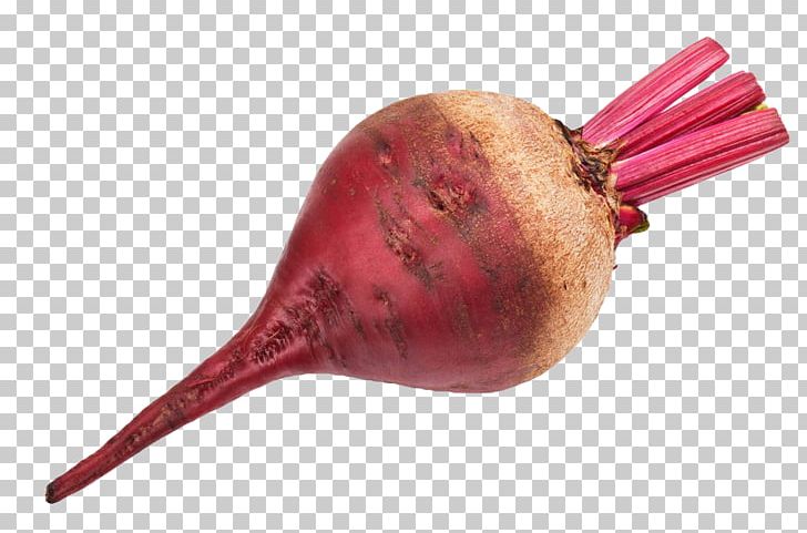 Beetroot Chard Vegetable Tomato Stock Photography PNG, Clipart, Beet, Beet Head, Beetroot, Chard, Common Beet Free PNG Download