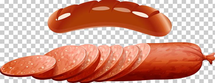 Breakfast Sausage Salami Ham Bacon PNG, Clipart, Animal Source Foods, Boudin, Bratwurst, Chinese Sausage, Food Free PNG Download